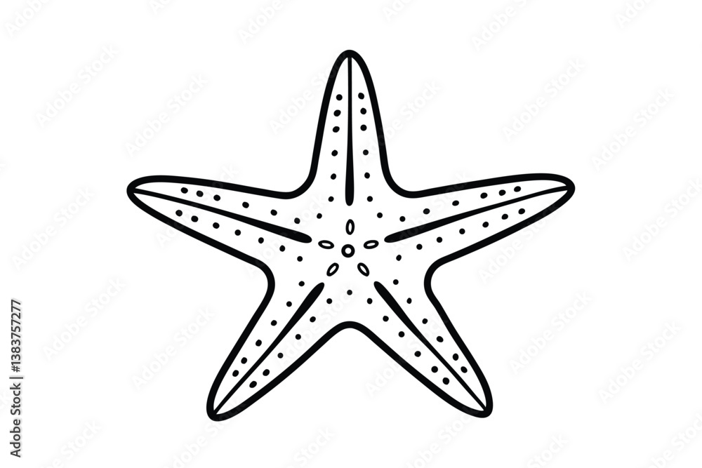 Fototapeta premium starfish on white background