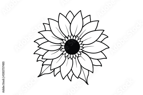 white flower on black background
