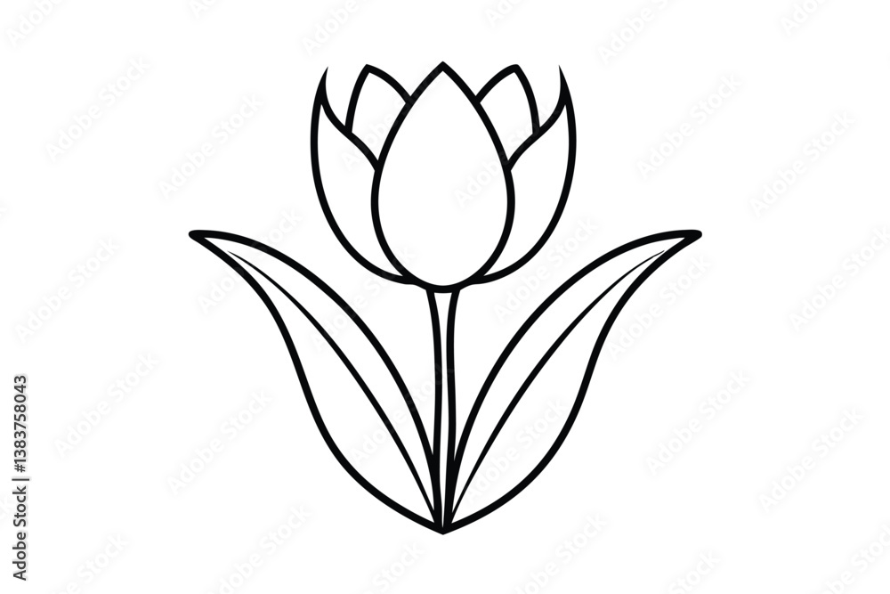 tulip isolated on white background tulip isolated on white background