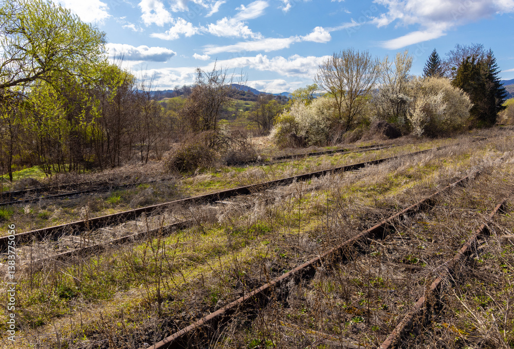 Fototapeta premium Abandoned railway lines, in the foreground