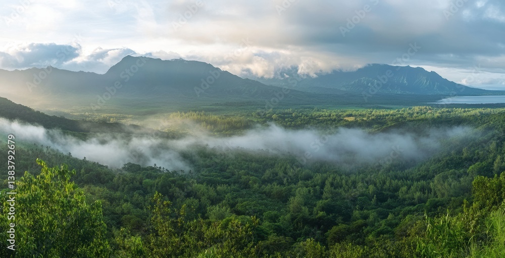 Obraz premium fog over the mountains
