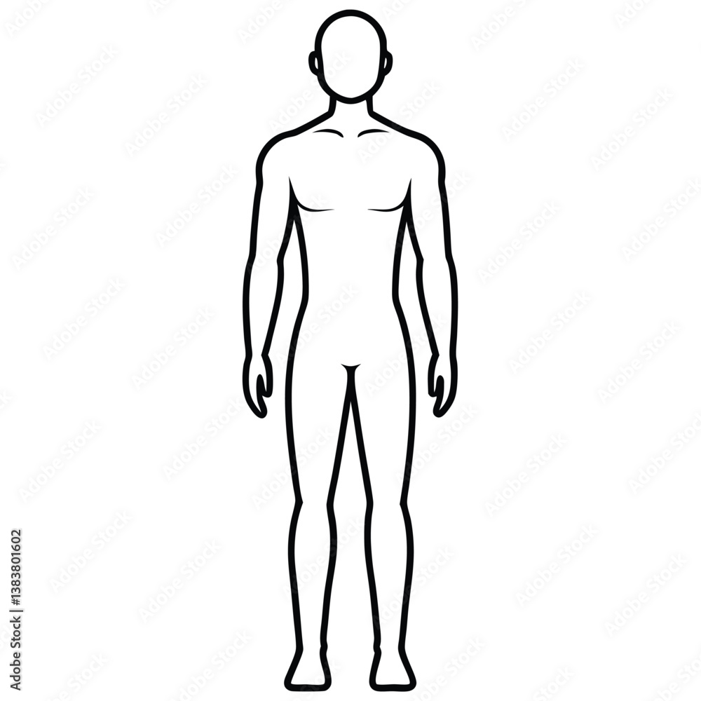 Man body line art vector on white background Man body line art vector on white background
