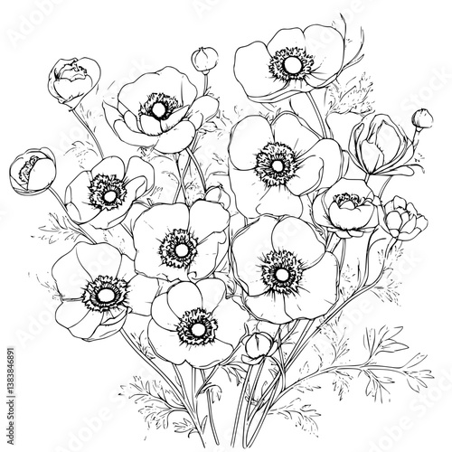 Anemone coloring book vector design, Anemone vector image