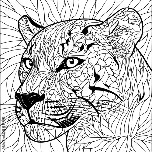 Panther coloring book vector design, Panther vector image
