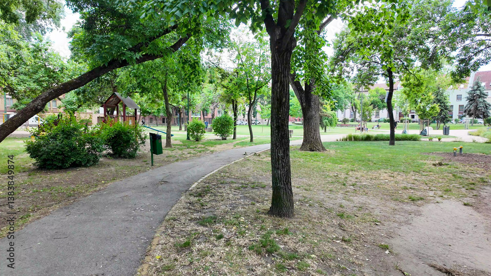 Fototapeta premium Serene city park with lush green trees, perfect for summer relaxation and outdoor activities, nature escape concept