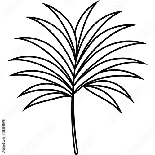 Elegant Black Line Art Palm Leaf Design