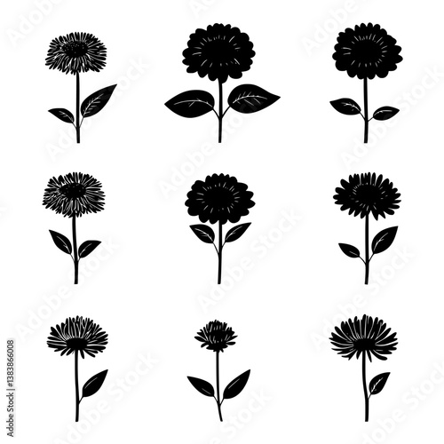 Collection of Asters vector designs, Asters vector image