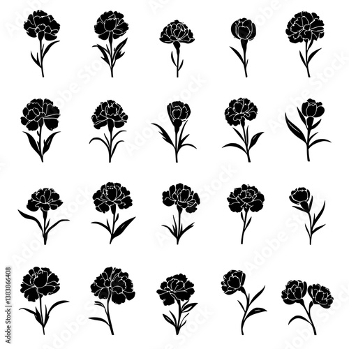 Collection of Carnations vector designs, Carnations vector image