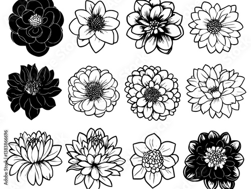 Collection of Chrysanthemums mandala vector design, Chrysanthemums vector image