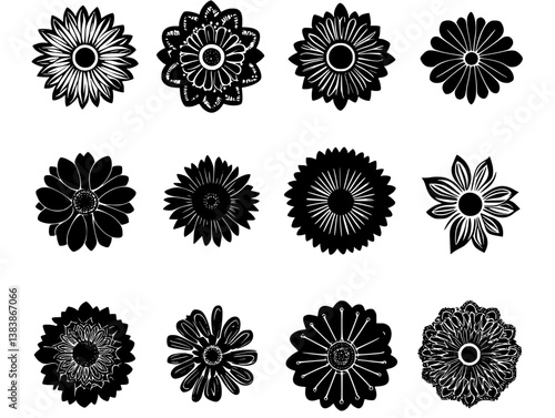 Collection of Daisies mandala vector design, Daisies vector image