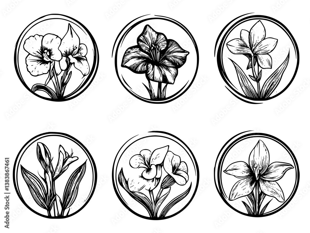 Collection of Gladioli mandala vector design, Gladioli vector image Collection of Gladioli mandala vector design, Gladioli vector image