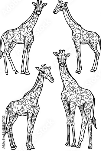 Collection of Giraffes coloring book vectors, Giraffes vector image