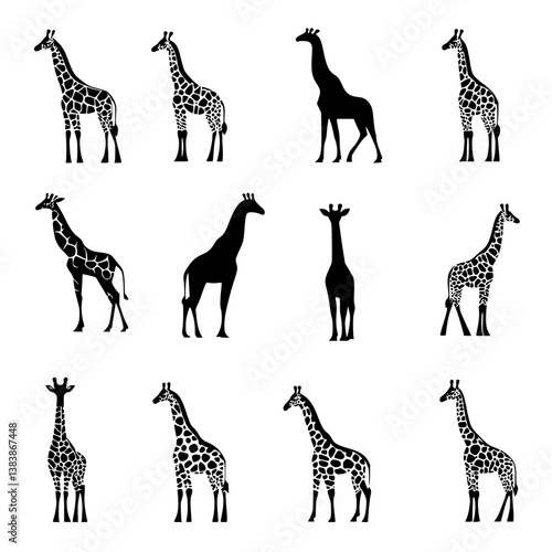 Collection of Giraffes vector designs, Giraffes vector image