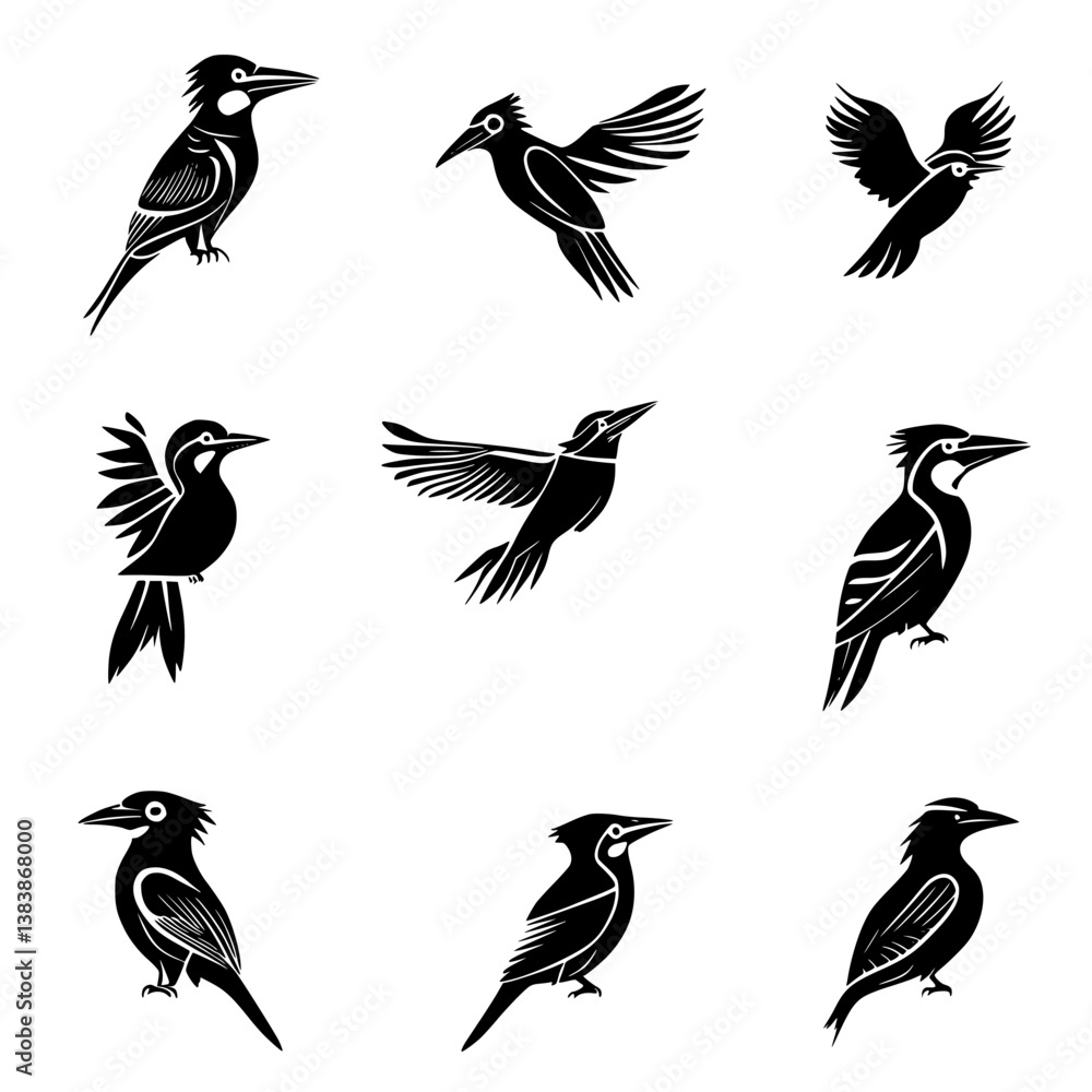 Obraz premium Collection of Kookaburras vector designs, Kookaburras vector image
