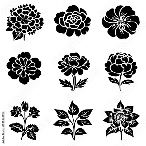 Collection of Marigolds vector designs, Marigolds vector image