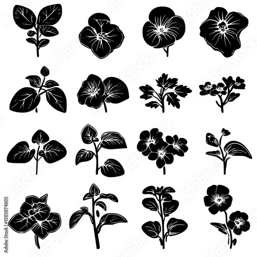 Collection of Begonias vector designs, Begonias vector illustration
