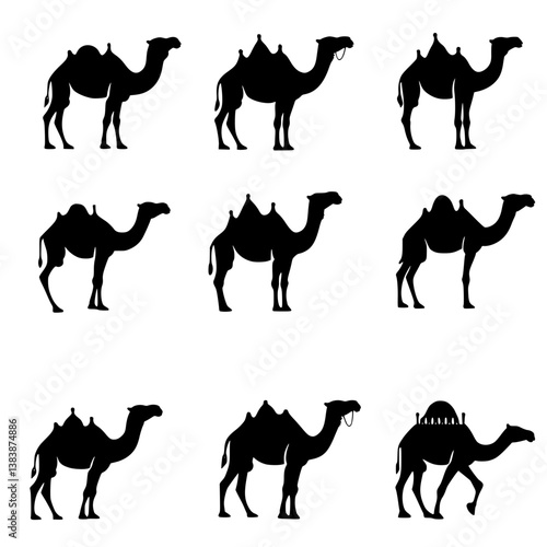Collection of Camels vector designs, Camels vector illustration