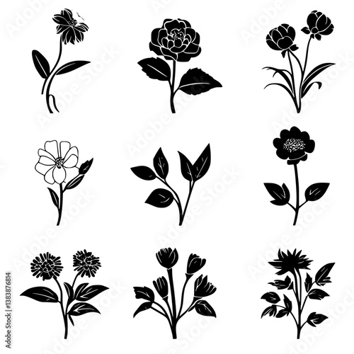 Collection of Marigolds vector designs, Marigolds vector illustration