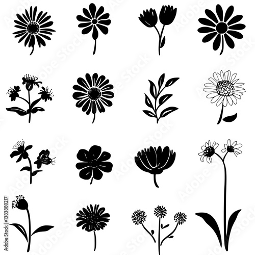 Collection of Asters vector designs, Asters illustration art