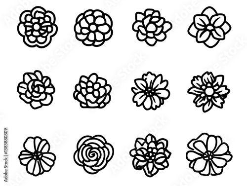 Collection of Carnations mandala vector design, Carnations illustration art