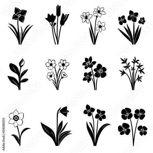 Collection of Daffodils vector designs, Daffodils illustration art