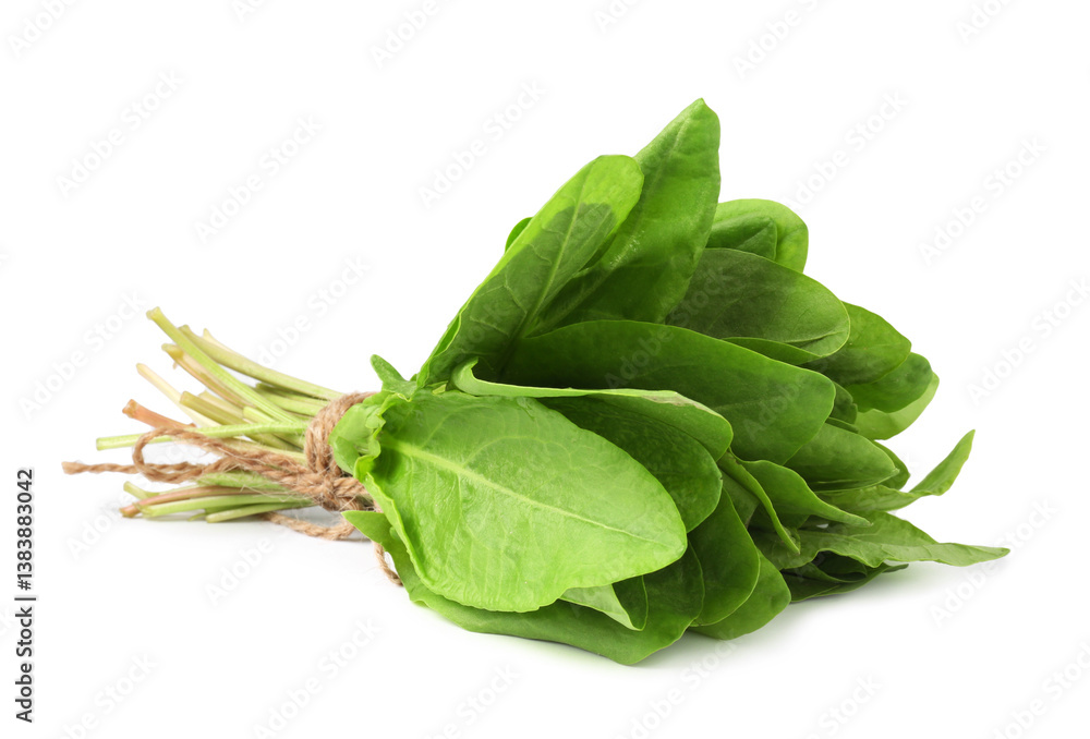 Bunch of fresh green sorrel leaves isolated on white Bunch of fresh green sorrel leaves isolated on white