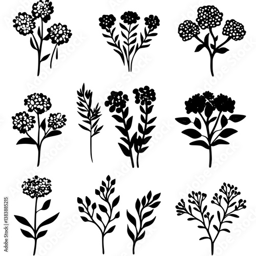 Collection of Yarrows vector designs, Yarrows illustration art