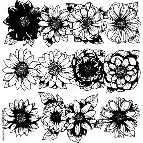 Collection of Daisies coloring book vector designs, Daisies vector graphic