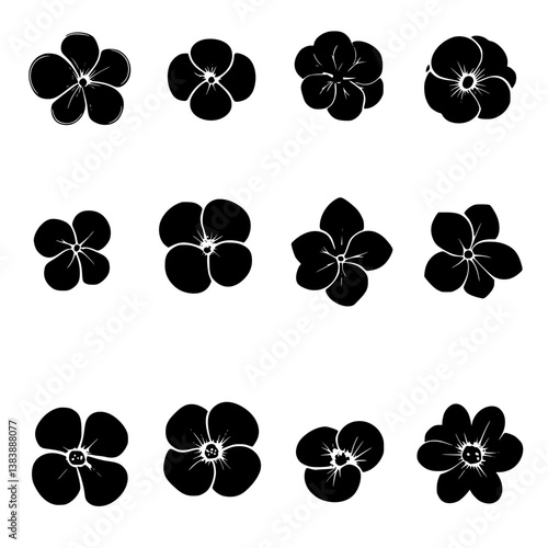 Collection of Begonias vector designs, Begonias vector graphic