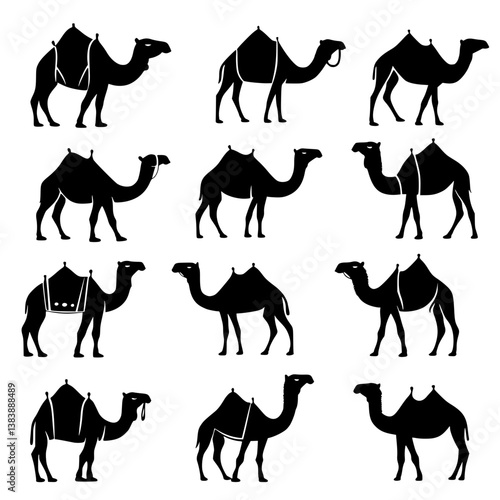 Collection of Camels vector designs, Camels vector graphic