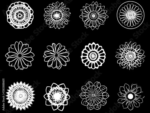 Collection of Chrysanthemums mandala vector design, Chrysanthemums vector graphic