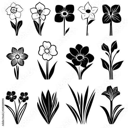 Collection of Daffodils vector designs, Daffodils vector graphic