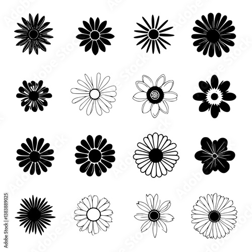 Collection of Daisies vector designs, Daisies vector graphic