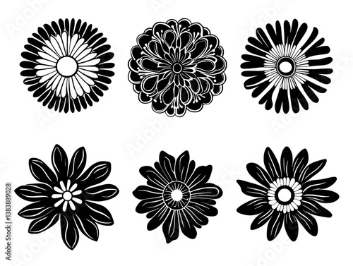 Collection of Daisies mandala vector design, Daisies vector graphic