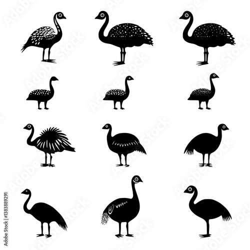 Collection of Emus vector designs, Emus vector graphic
