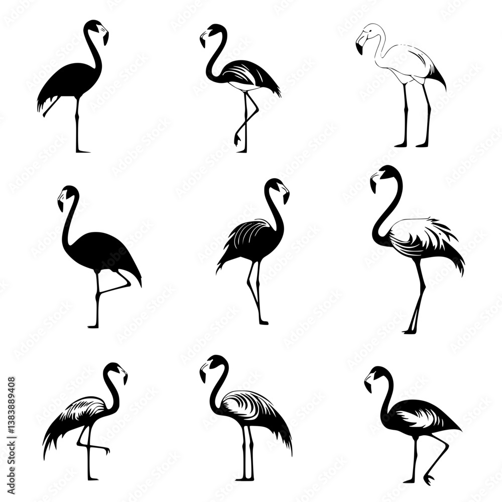 Obraz premium Collection of Flamingos vector designs, Flamingos vector graphic