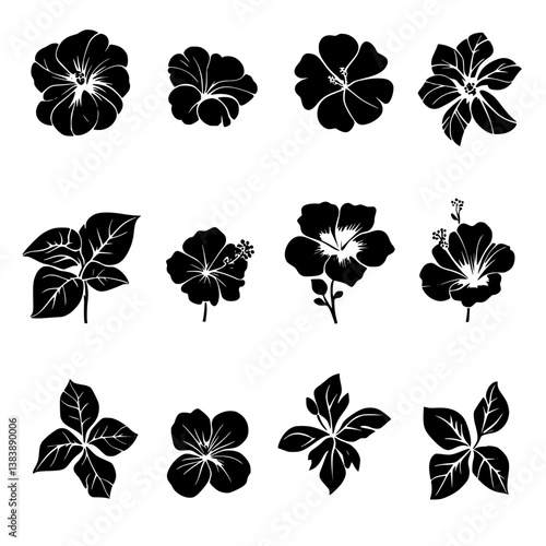 Collection of Hibiscuses vector designs, Hibiscuses vector graphic