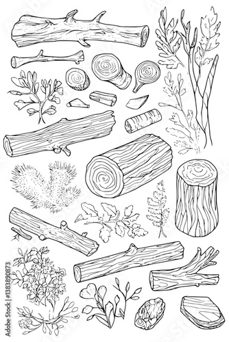 Collection of Mossy logs coloring book vector designs, Mossy logs vector graphic