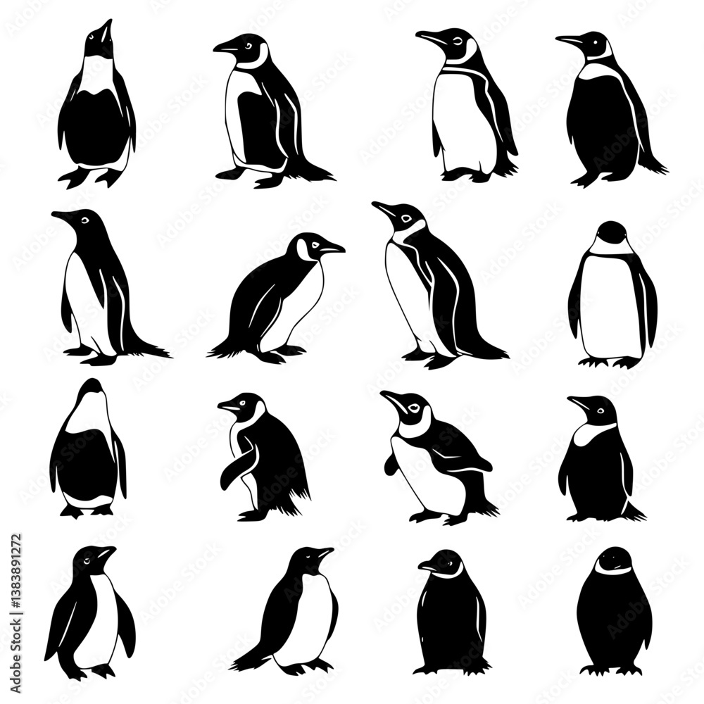Obraz premium Collection of Penguins vector designs, Penguins vector graphic