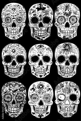 Collection of Pastel skulls coloring book vector designs, Pastel skulls vector graphic