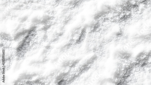 Wallpaper Mural A black and white texture of snow, with subtle details like cracks or small icy particles visible in the surface Torontodigital.ca