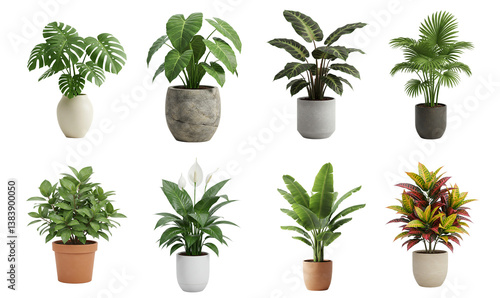 Indoor Plants Collection Diverse Greenery in Pots for Interior Decor