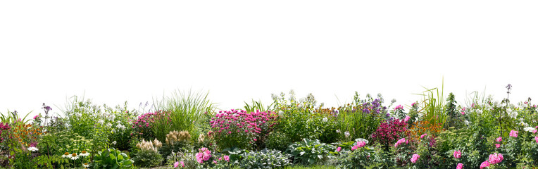 Large foreground flowerbed with different blooming flowers and plants isolated on transparent background