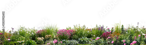 Large foreground flowerbed with different blooming flowers and plants isolated on transparent background