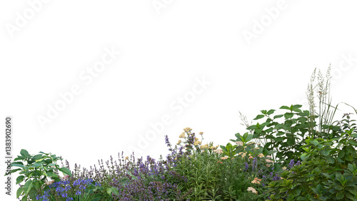 Fototapeta Naklejka Na Ścianę i Meble -  Foreground of green plants and flowers isolated on transparent background