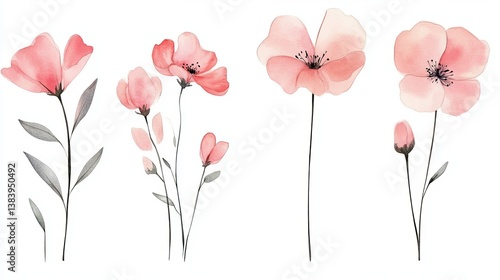 Wallpaper Mural Elegant Watercolor Pink Flowers Botanical Illustration Soft Pastel Floral Design Romantic Nature Blossom Pretty Delicate Spring Summer Wedding         Torontodigital.ca