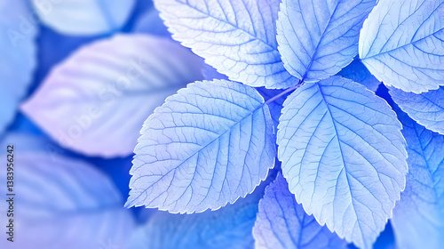 Soft, pastel blue leaves, detailed veins, close-up, nature background