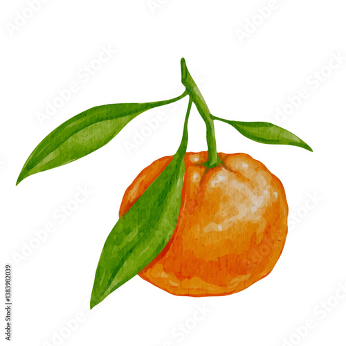 Juicy, ripe fruits of citrus mandarin. Vector graphics.