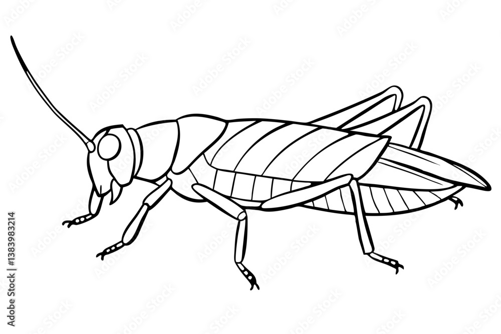 grasshopper silhouette line art vector illustration with a white background