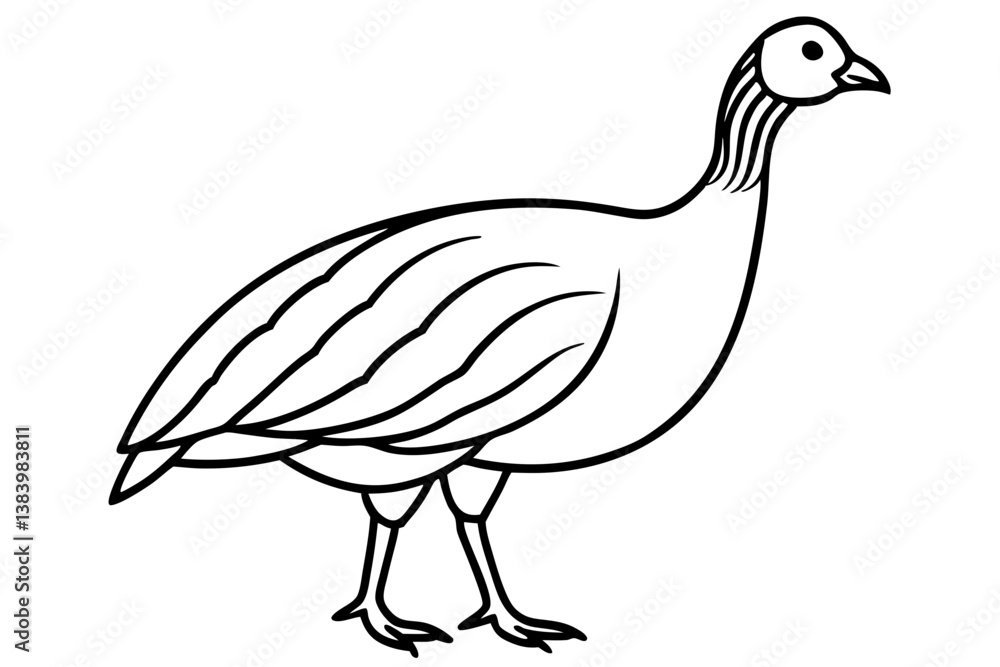 guineafowl silhouette line art vector illustration with a white background guineafowl silhouette line art vector illustration with a white background